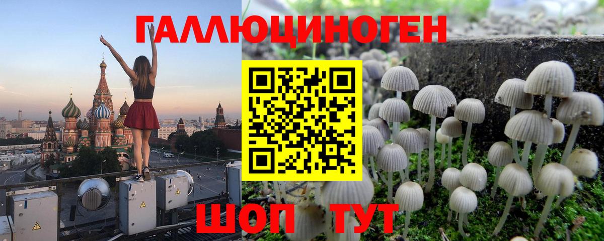 Псилоцибиновые грибы мухоморы Ипатово