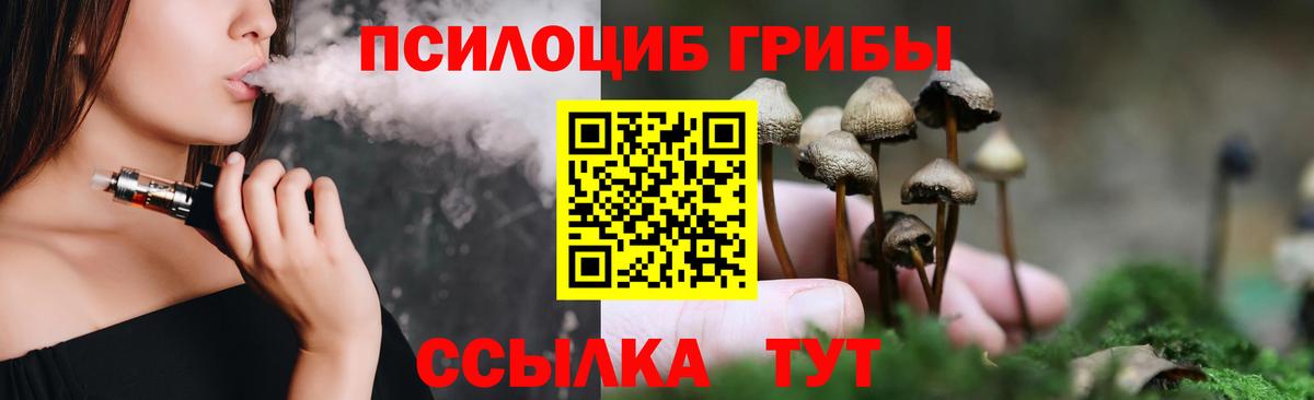 Псилоцибиновые грибы Magic Shrooms  Ипатово 
